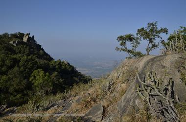 05 Mount_Abu_DSC4126_b_H600